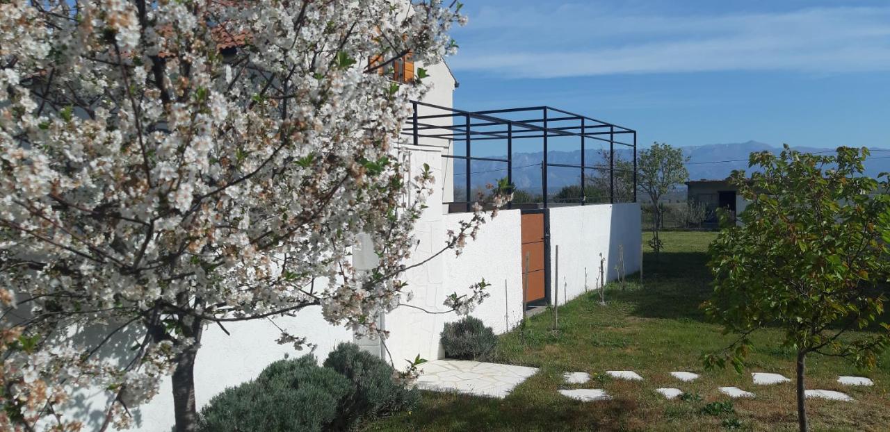 Vila Pan Zadar Buitenkant foto